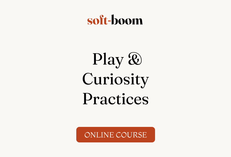 Play & Curiosity Practices